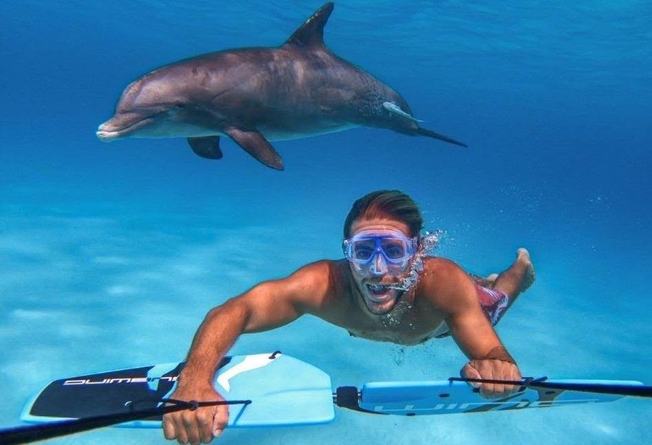 Ca heo gia than thien, thich luot song, lan bien cung du khach hinh anh