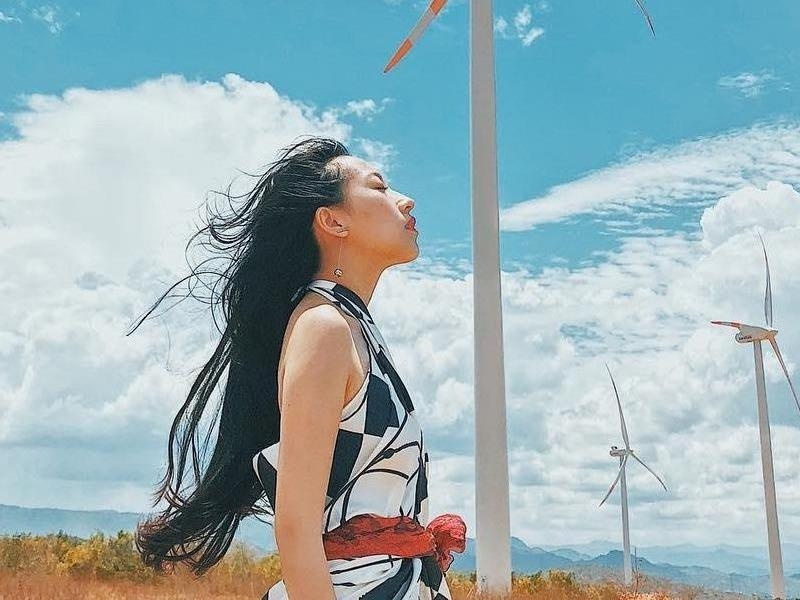 4 canh dong quat gio o Viet Nam duoc hoi me song ao san lung hinh anh