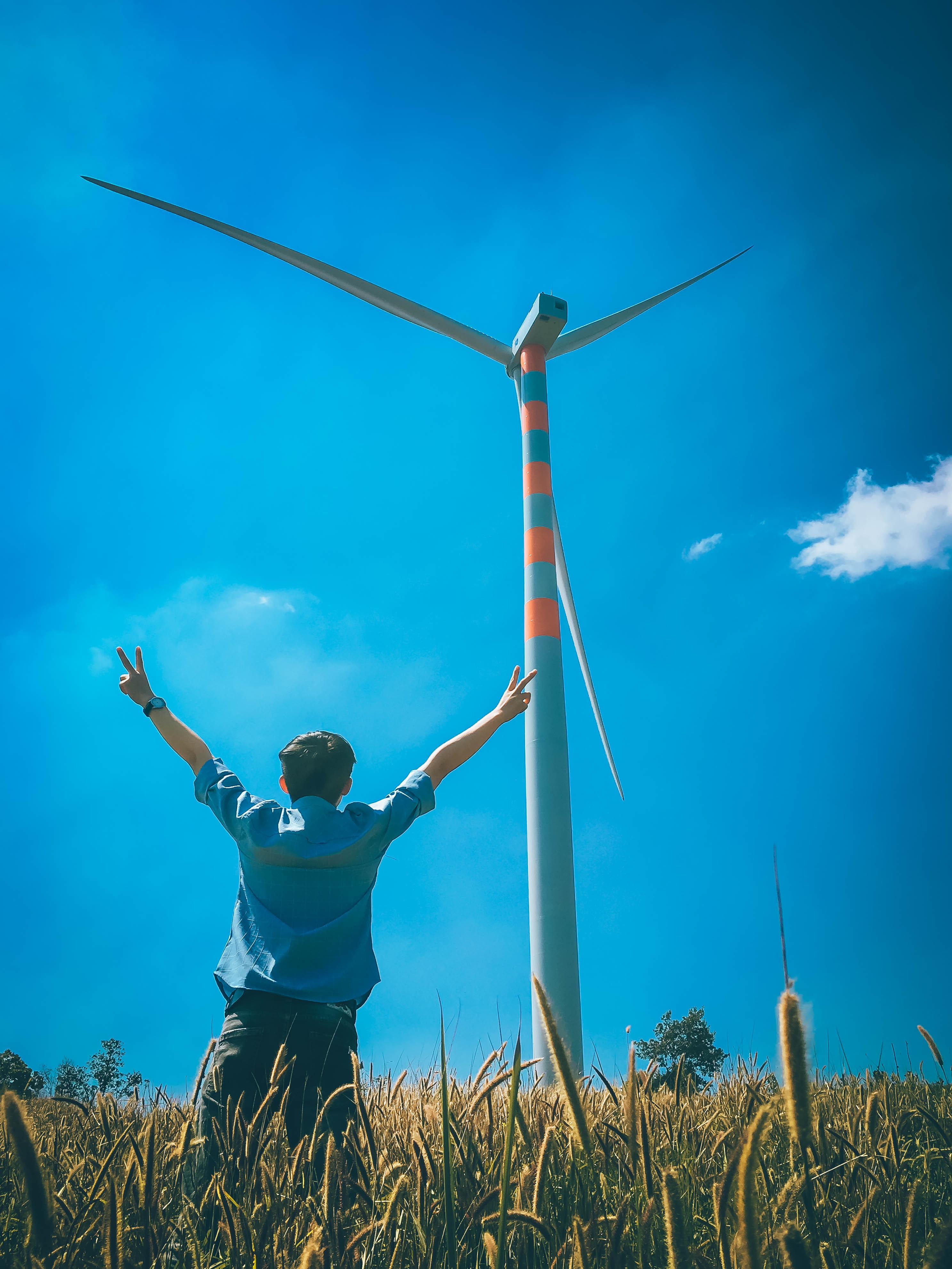 Canh dong quat gio anh 10