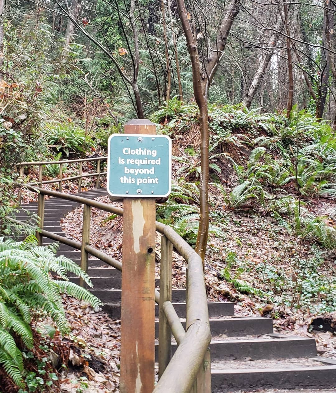 Bai bien khoa than,  dia diem du lich,  the gioi anh 2