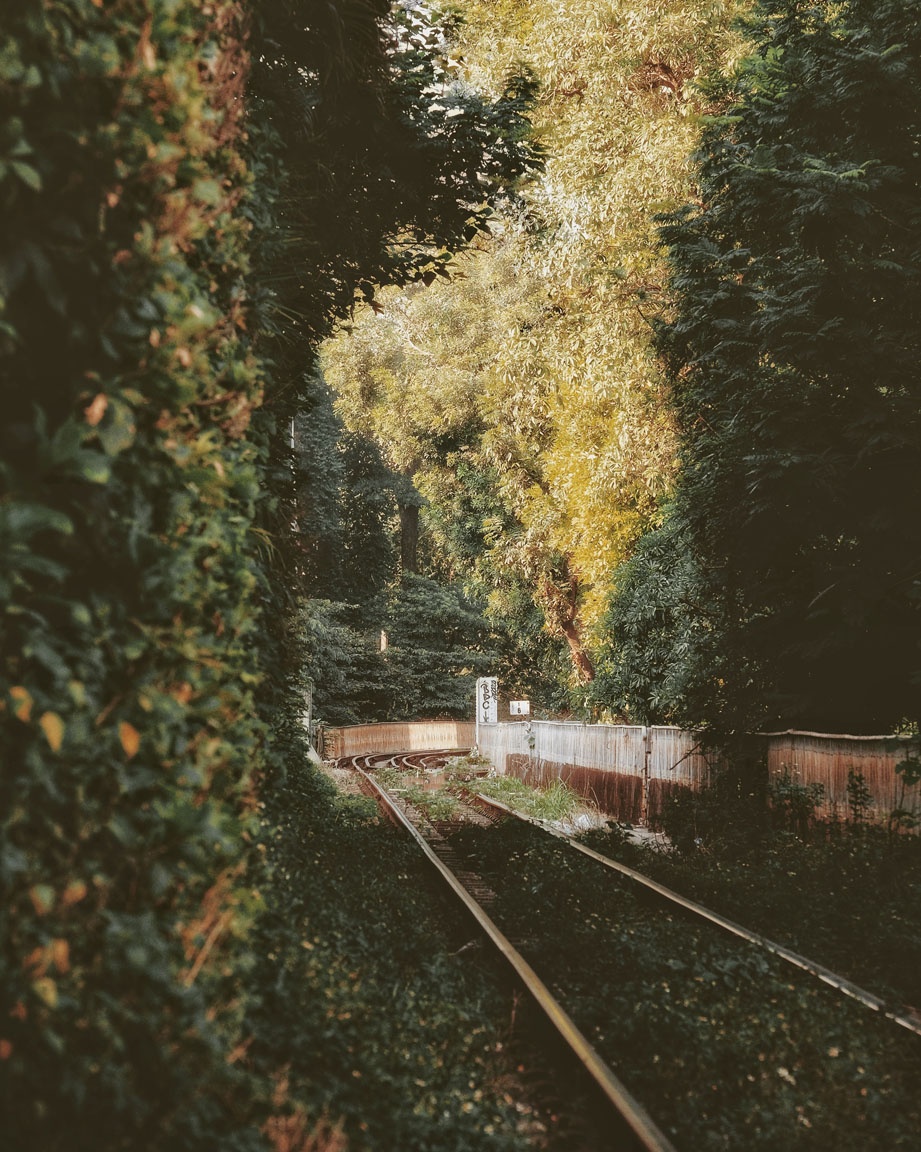 Duong tau Ha Noi anh 4