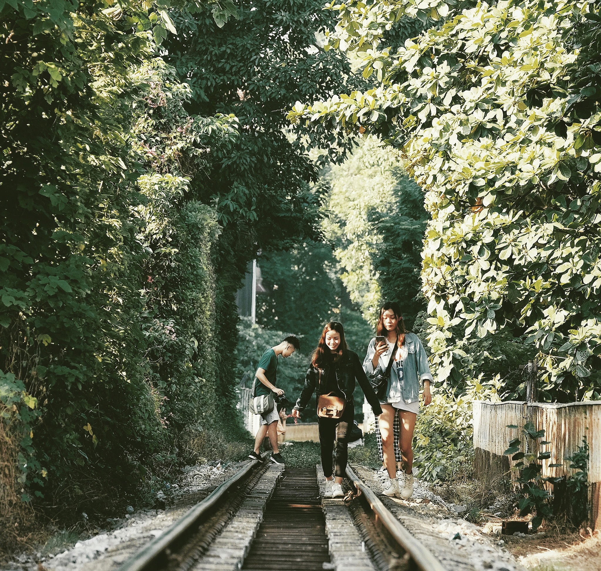 Duong tau Ha Noi anh 8