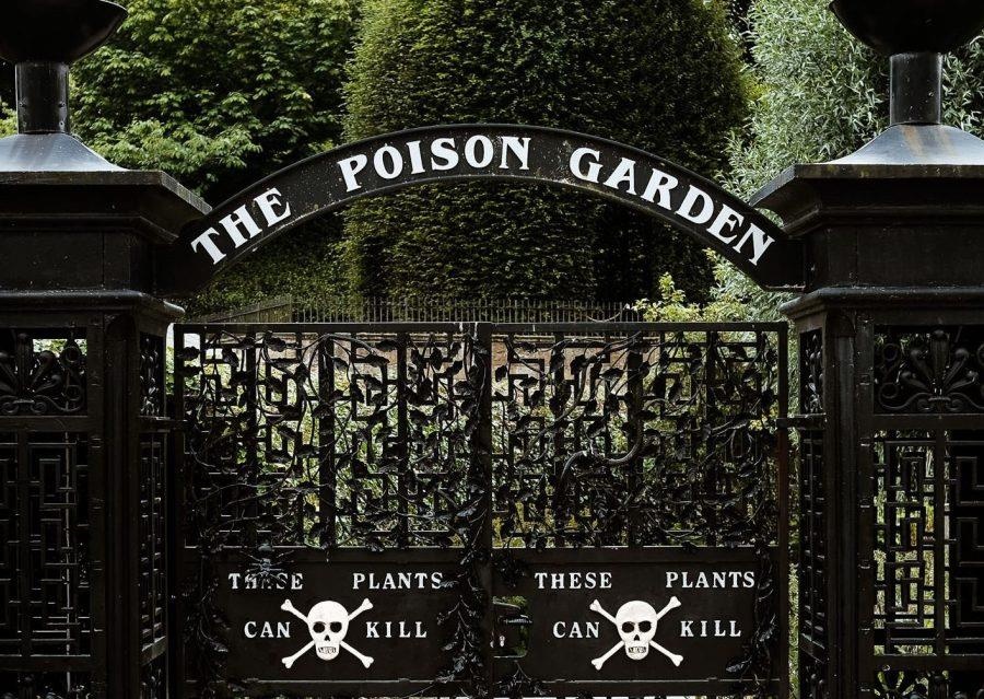 Khu vuon trong doc duoc chet nguoi, du khach so say co the mat mang hinh anh