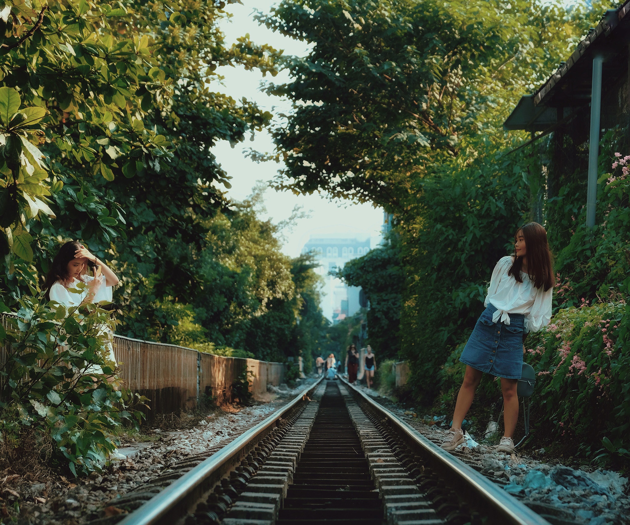 Duong tau Ha Noi anh 2