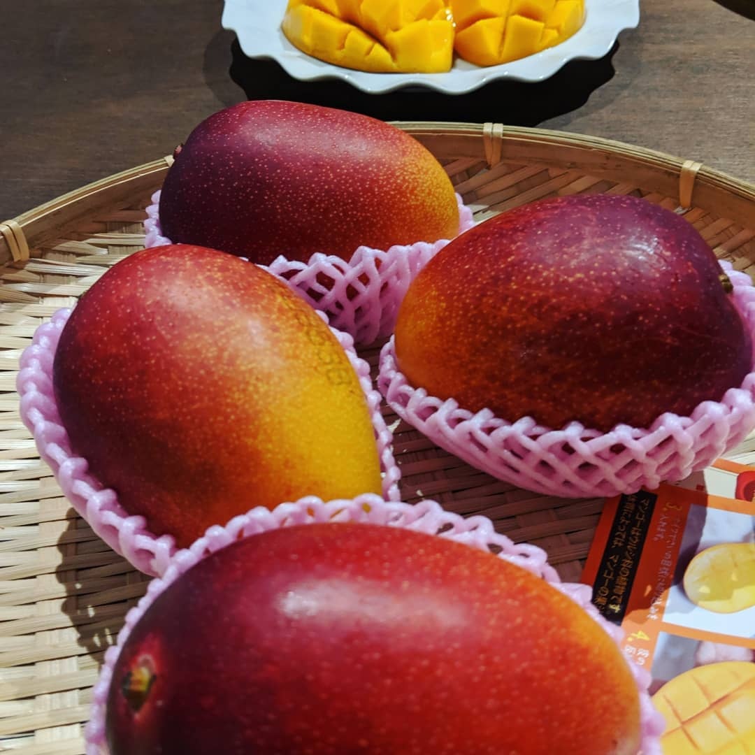 mon Nhat dat do anh 3