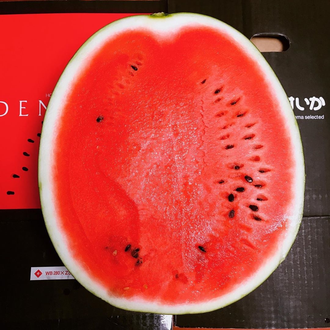 mon Nhat dat do anh 5