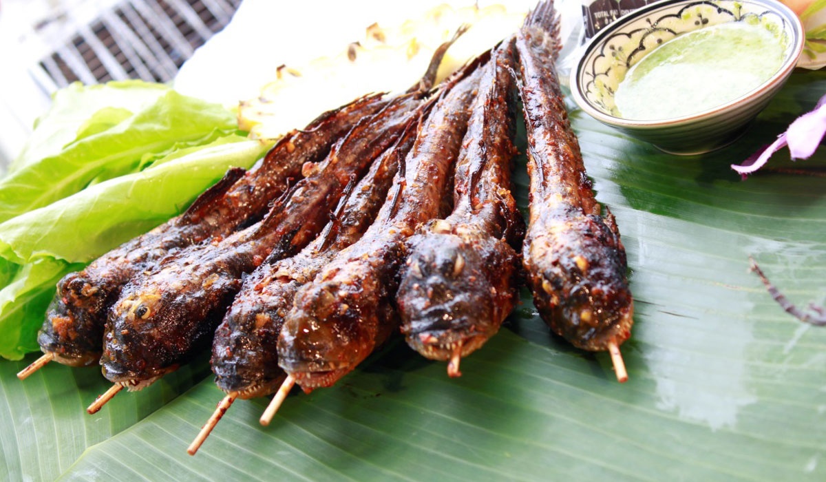 cá thòi lòi nướng ảnh 1 ca thoi loi nuong anh 1