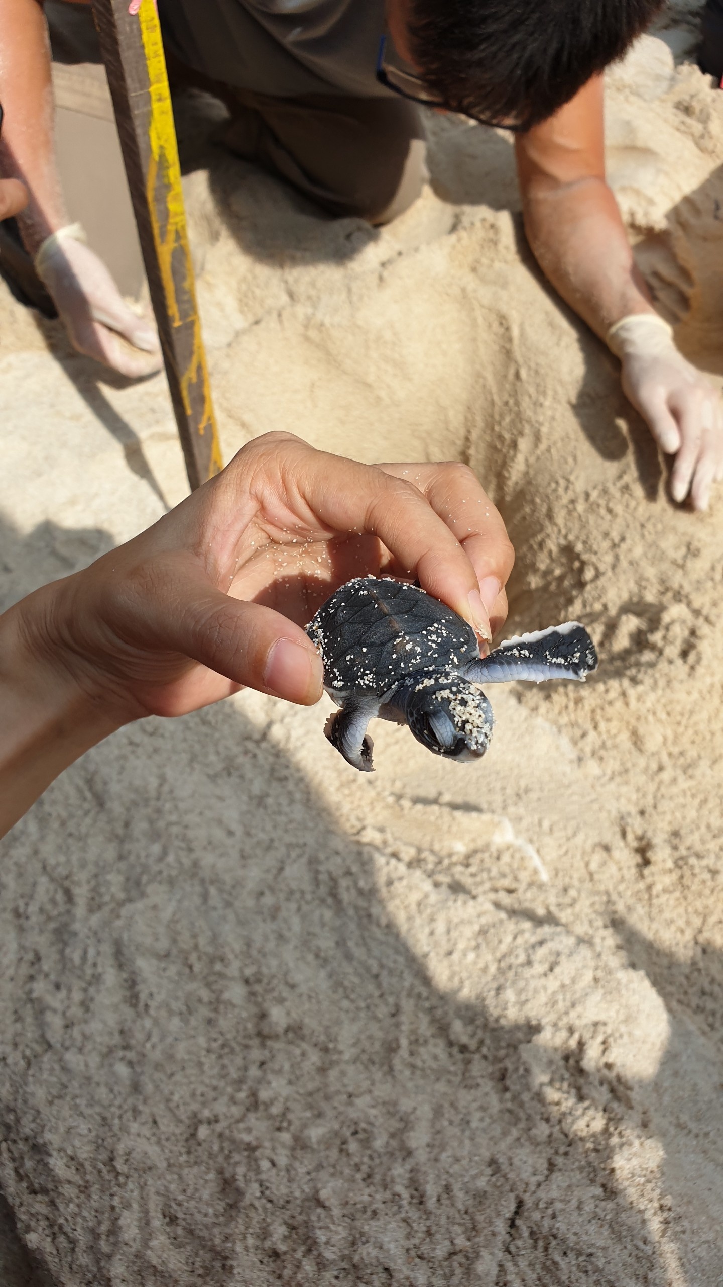 Bao ve moi truong anh 4