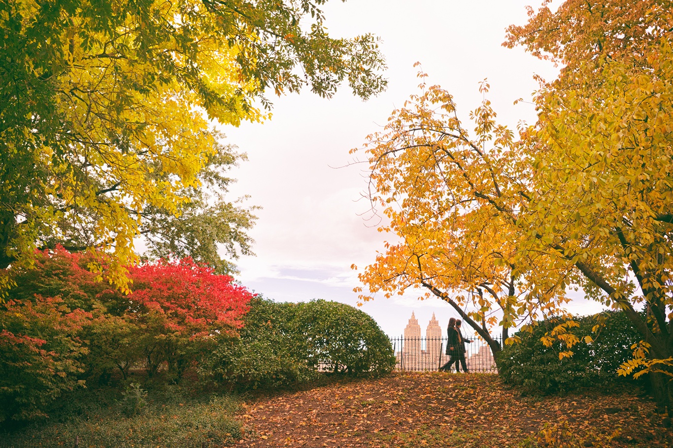 mua thu nuoc My anh 3