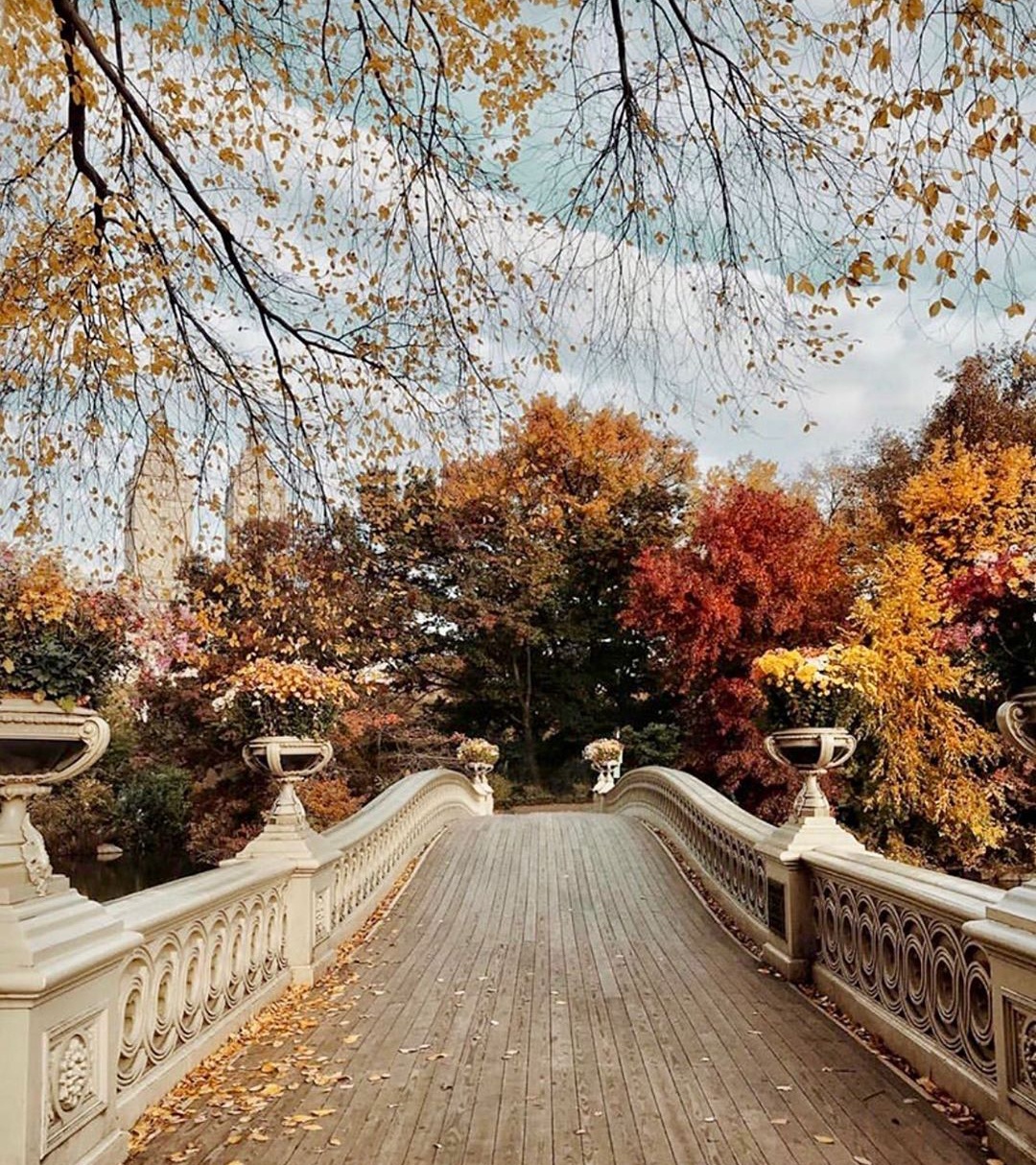 mua thu nuoc My anh 10