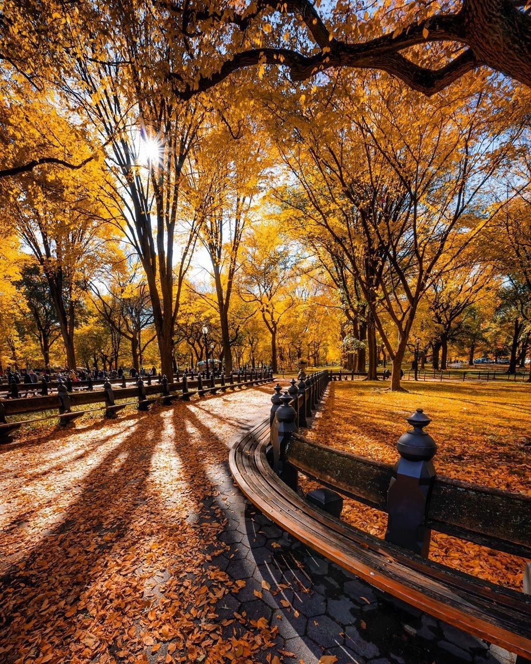 mua thu nuoc My anh 9