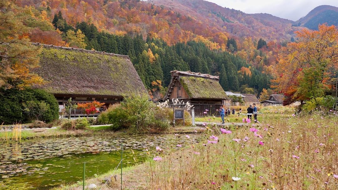 lang co Nhat Ban anh 5