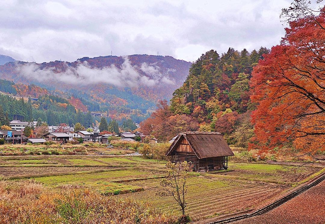 lang co Nhat Ban anh 2