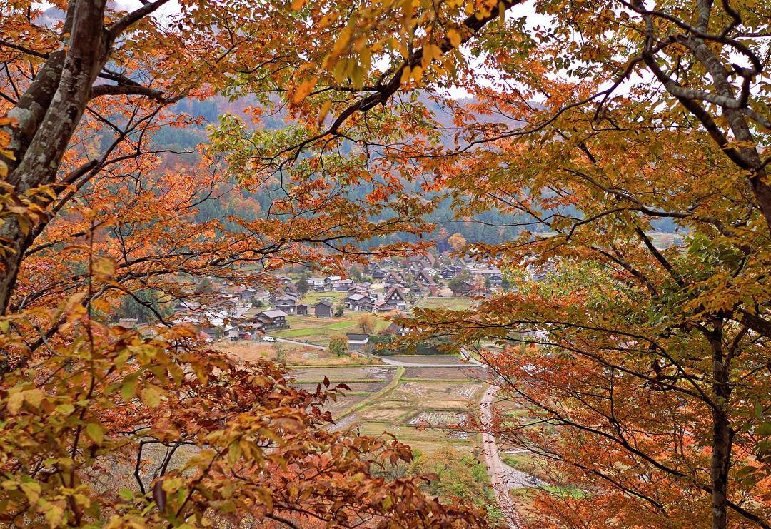 Lang Doraemon dep tua co tich vao mua thu Nhat Ban hinh anh