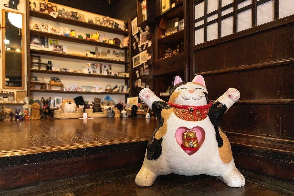 Den meo Nhat Ban anh 8