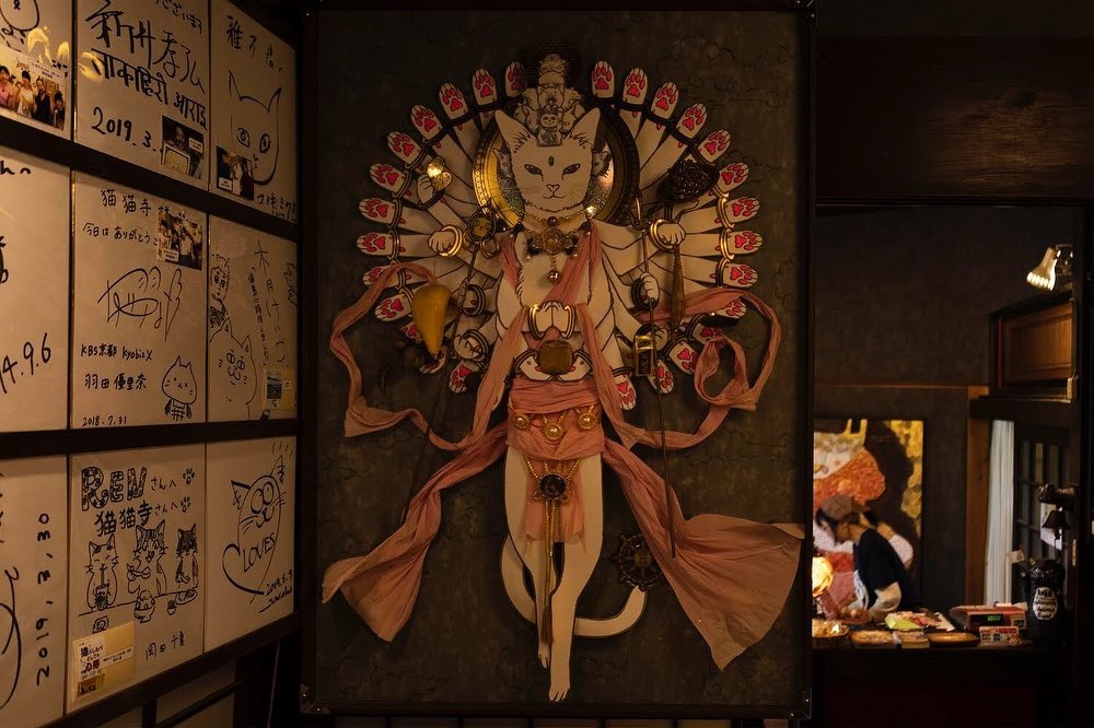 Den meo Nhat Ban anh 14