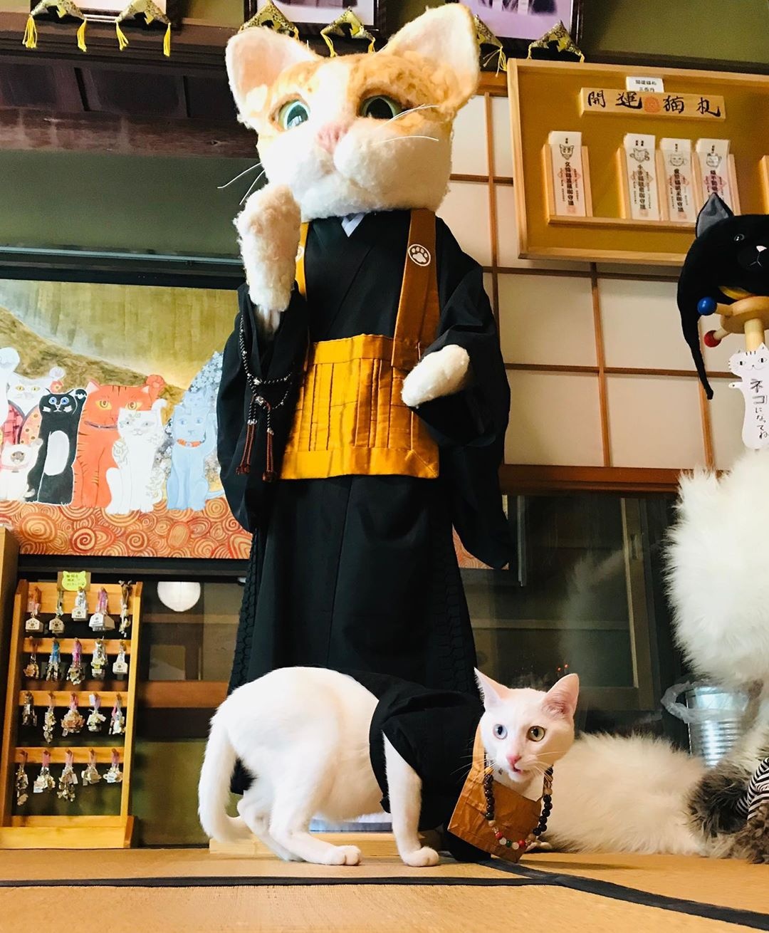 Den meo Nhat Ban anh 9