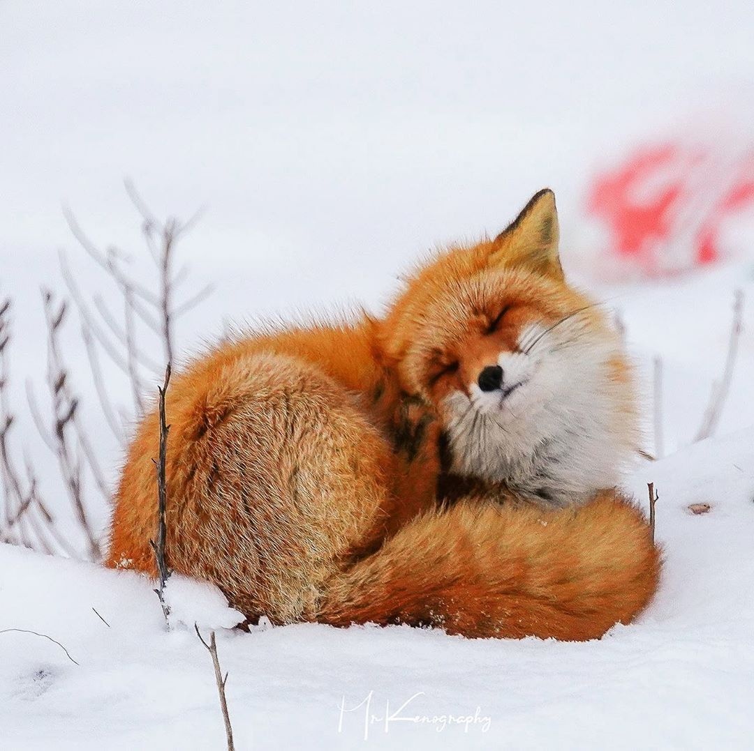 Hokkaido ảnh 7 Hokkaido anh 7