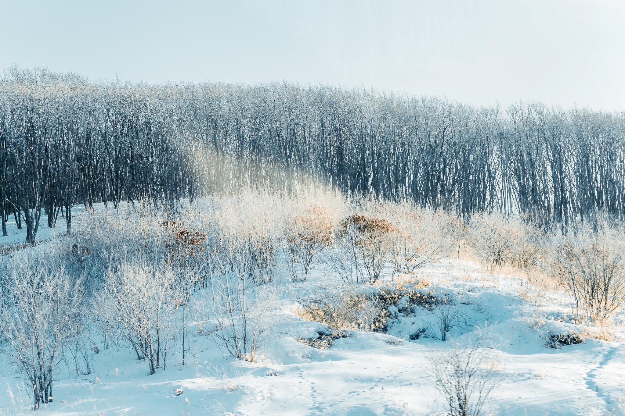 Hokkaido ảnh 1 Hokkaido anh 1