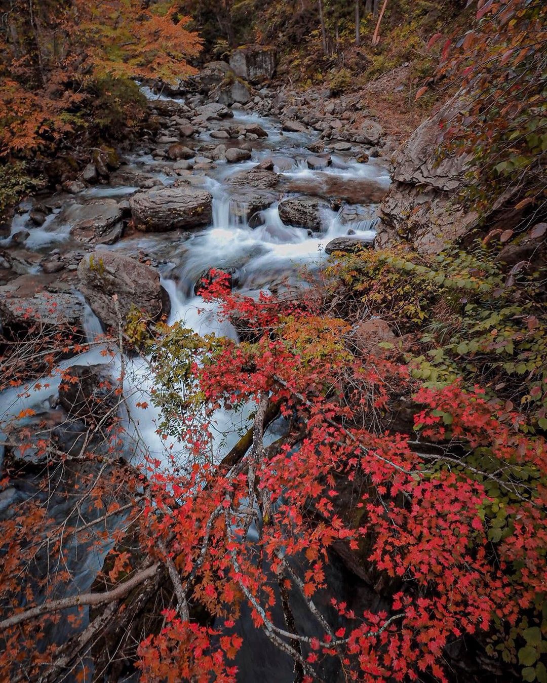 nui thieng Nhat Ban anh 7