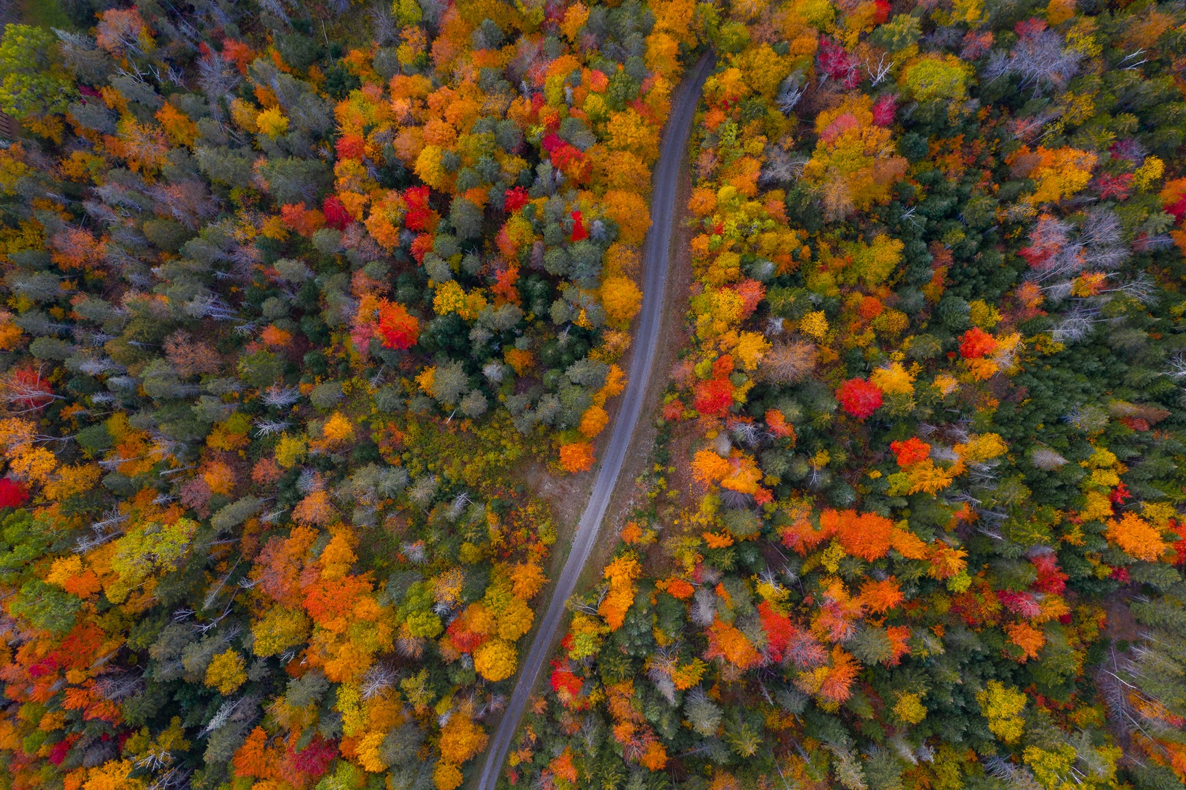 du lich nuoc My anh 63