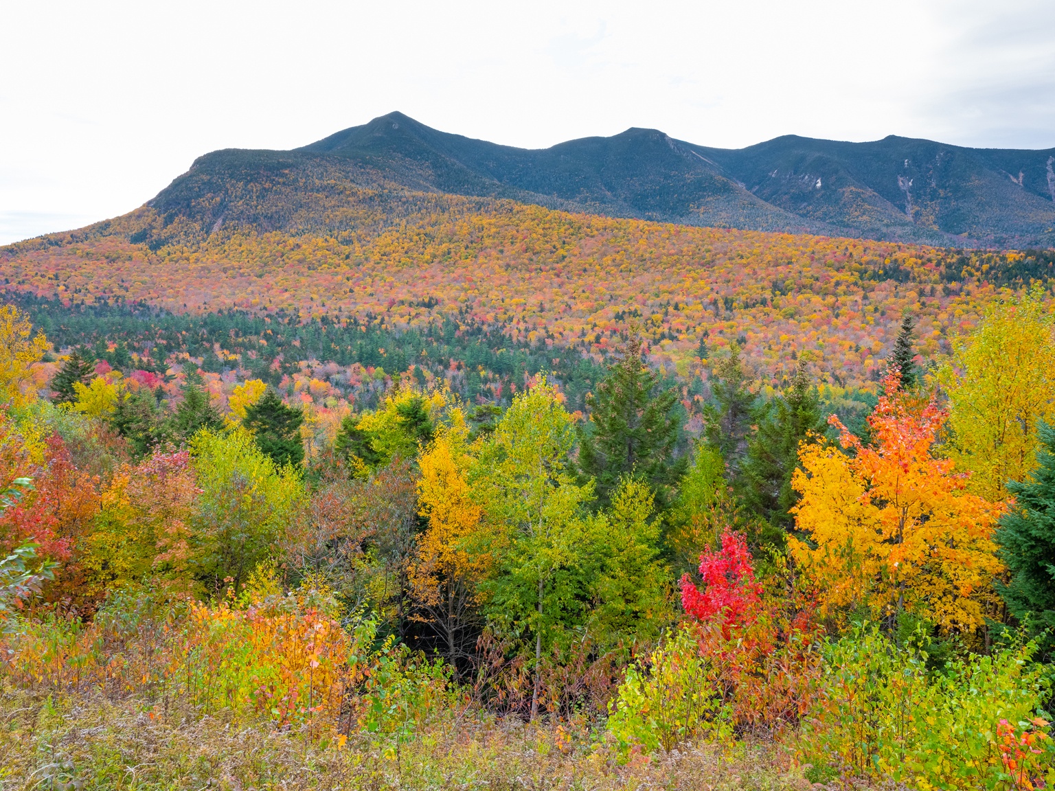 du lich nuoc My anh 46