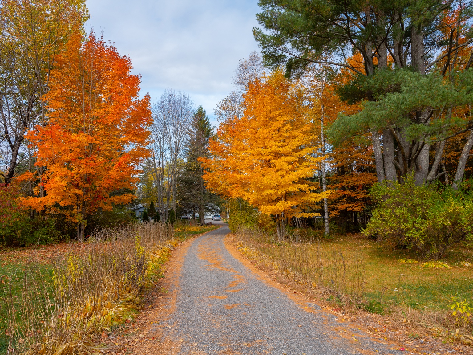 du lich nuoc My anh 60