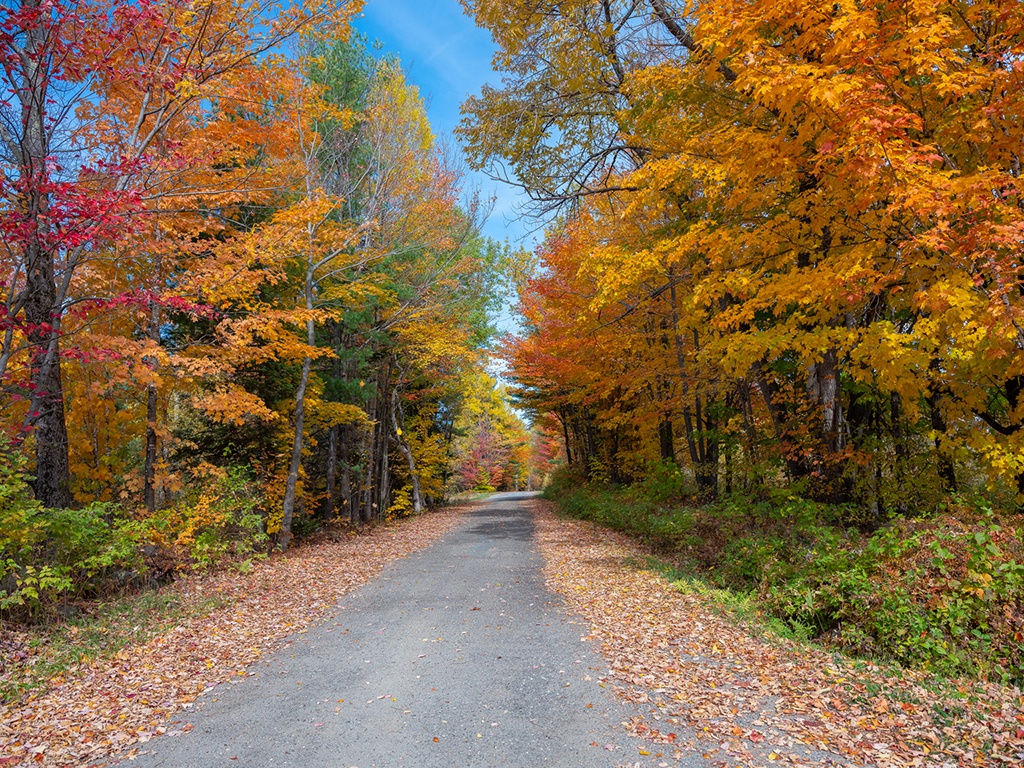 du lich nuoc My anh 65