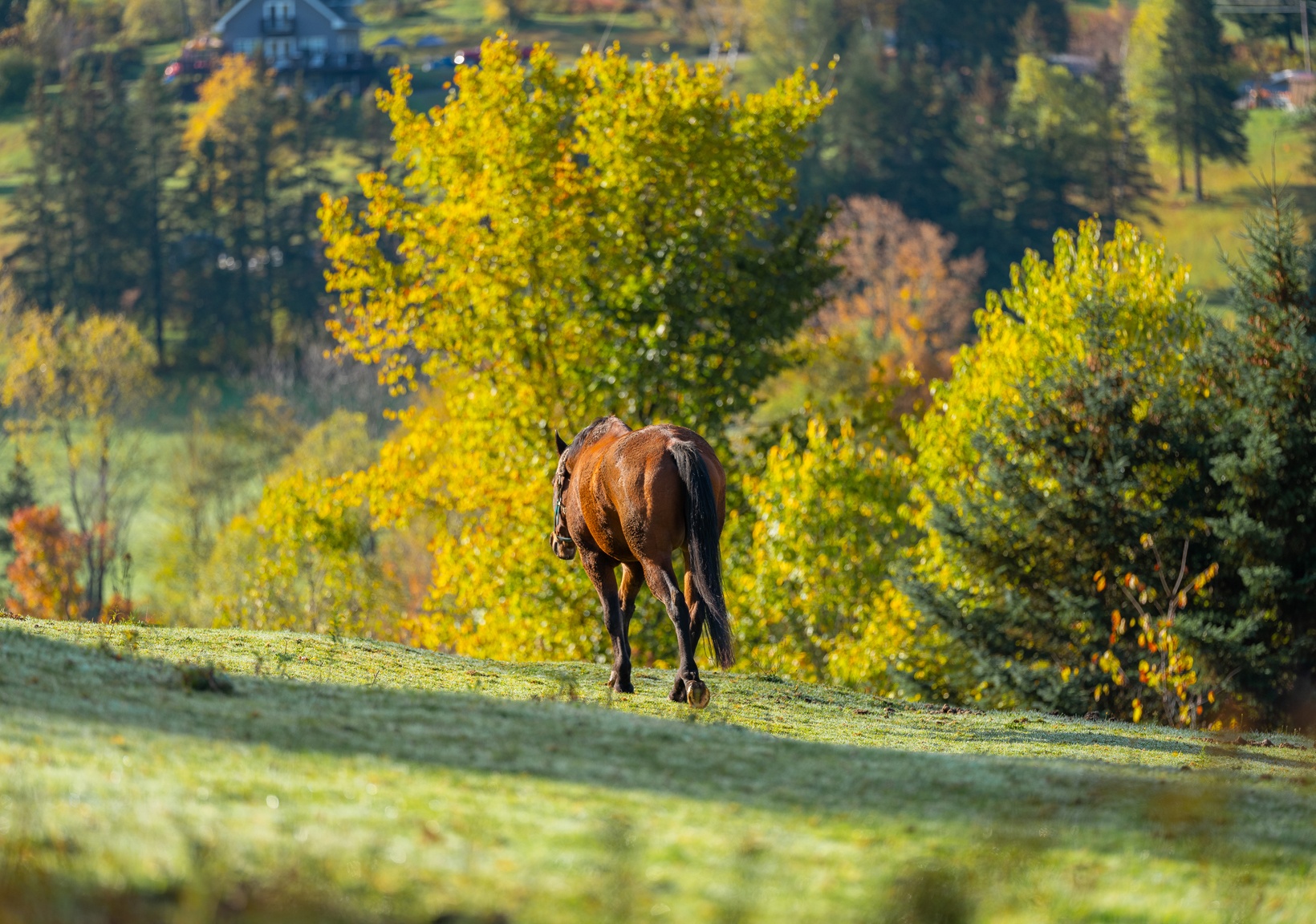 du lich nuoc My anh 52