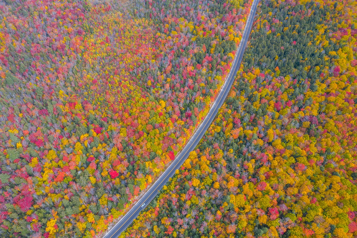 du lich nuoc My anh 44