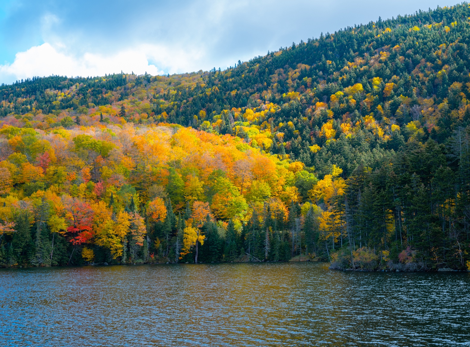 du lich nuoc My anh 68