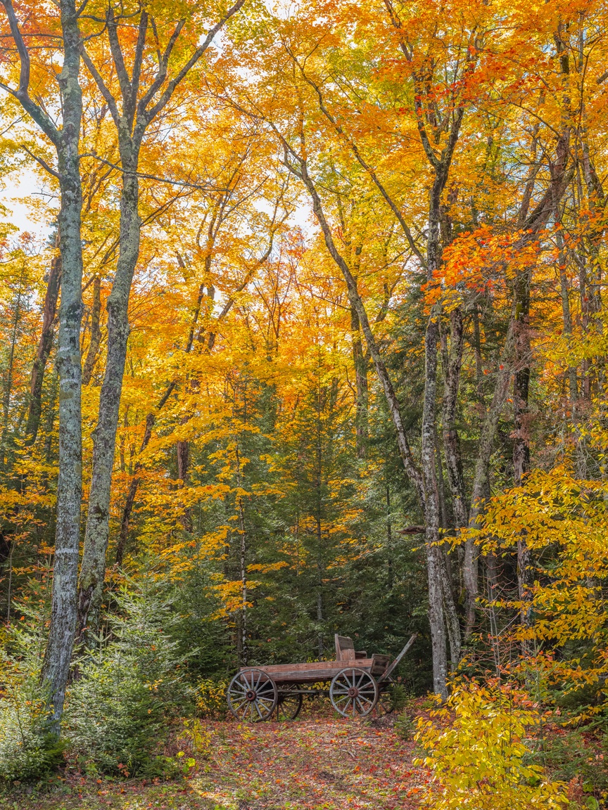 du lich nuoc My anh 3