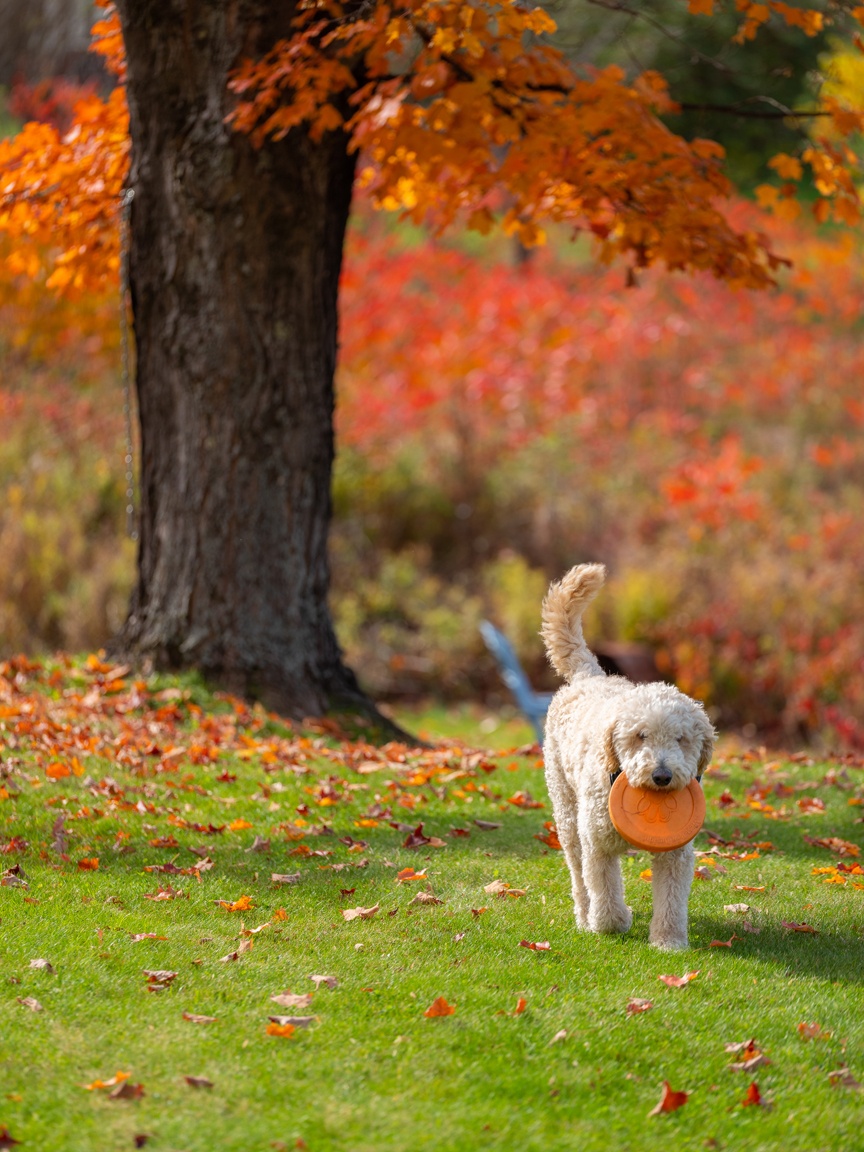 du lich nuoc My anh 4