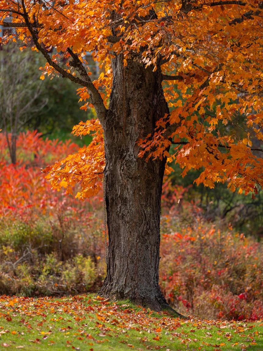 du lich nuoc My anh 5