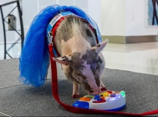 Lon choi dan o san bay giup hanh khach bot cang thang hinh anh