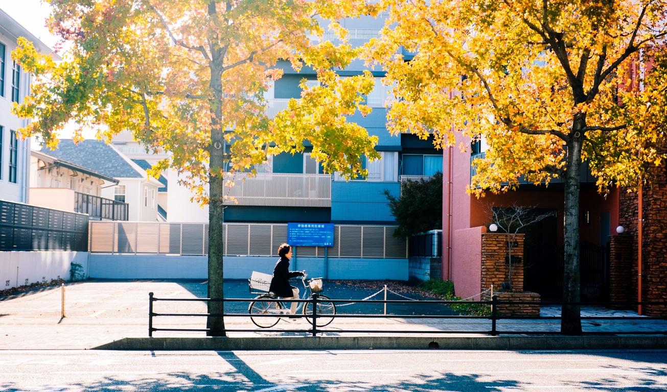 van hoa xe dap o Nhat anh 44