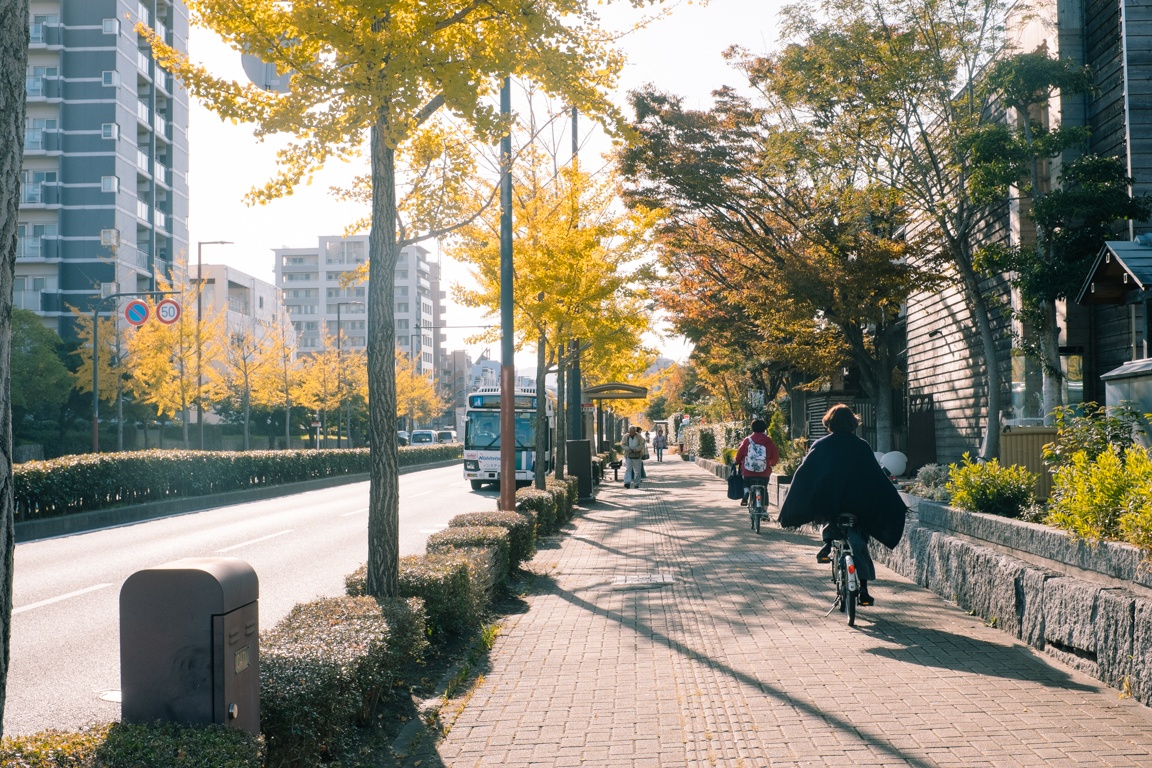 van hoa xe dap o Nhat anh 46