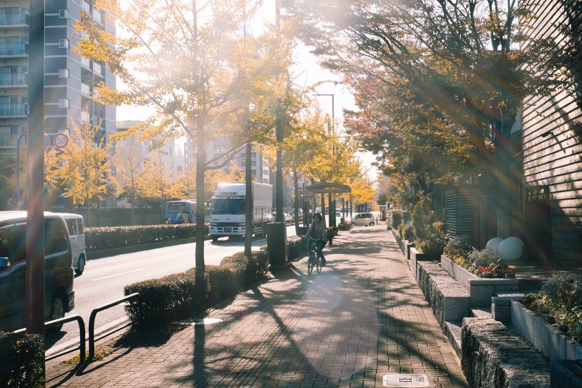 van hoa xe dap o Nhat anh 47