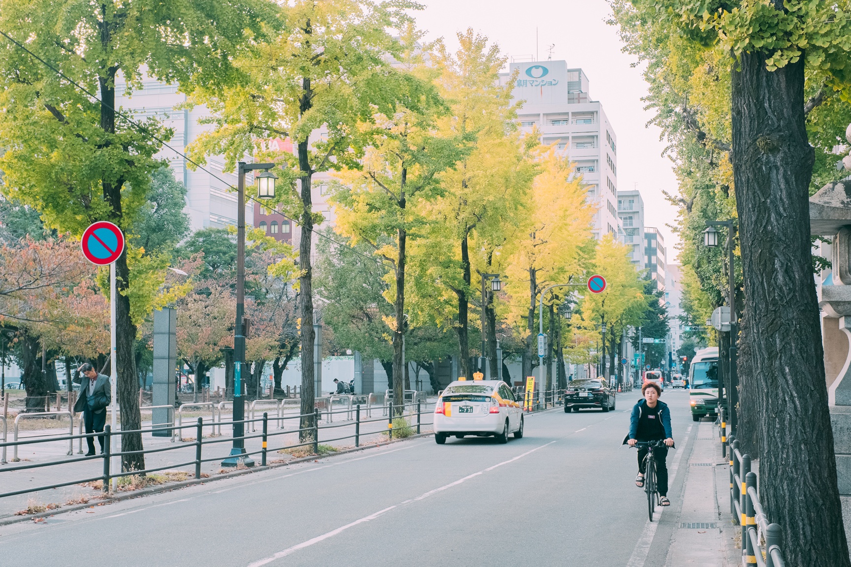 van hoa xe dap o Nhat anh 2