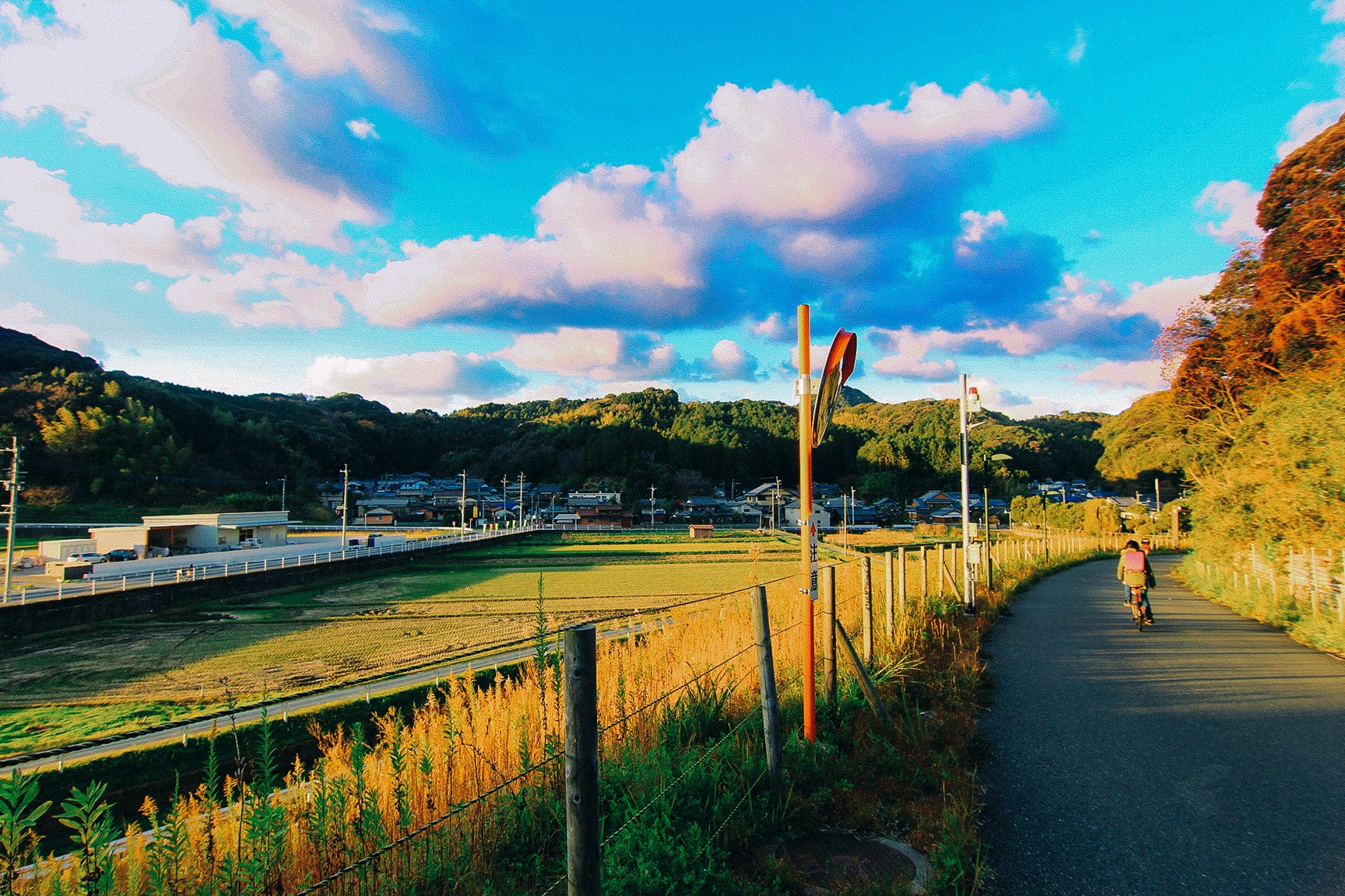 van hoa xe dap o Nhat anh 26