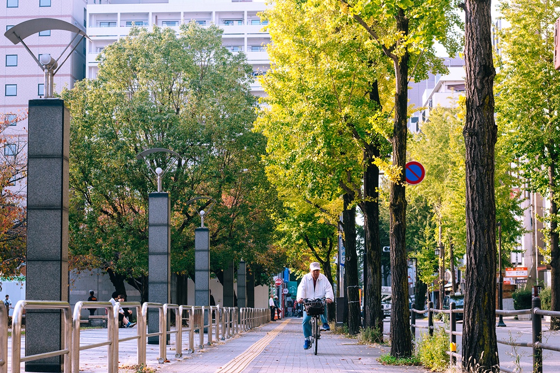 van hoa xe dap o Nhat anh 6