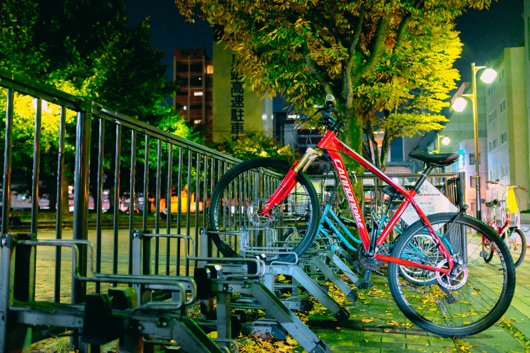 van hoa xe dap o Nhat anh 33