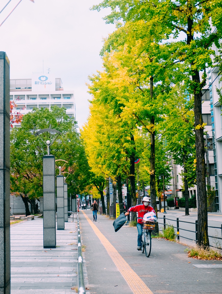 van hoa xe dap o Nhat anh 15