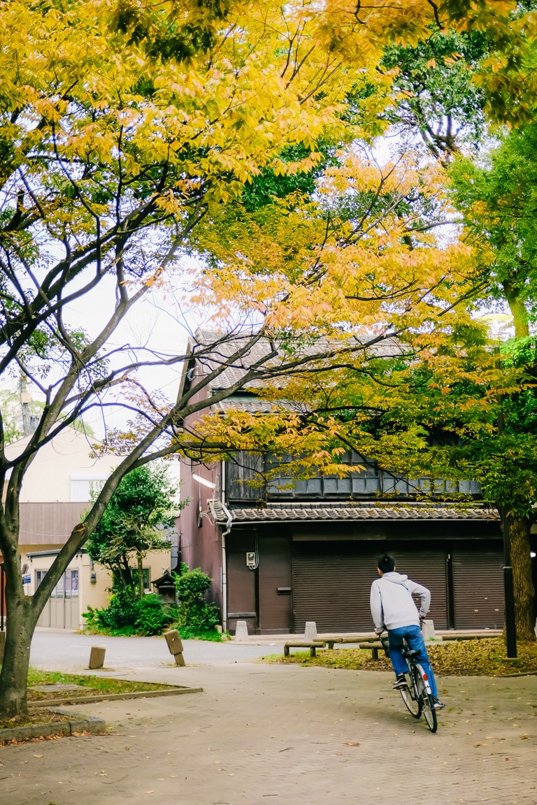 van hoa xe dap o Nhat anh 16