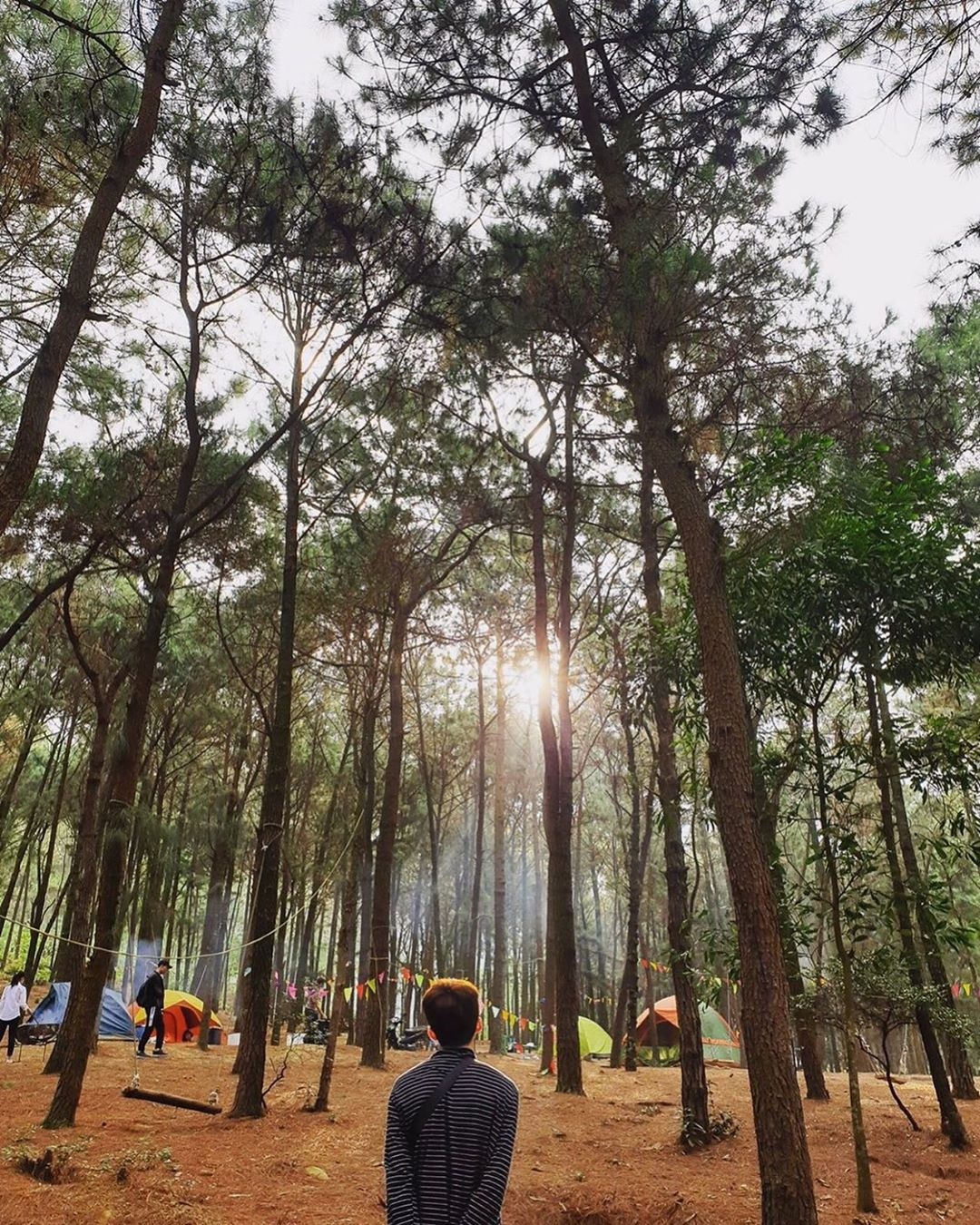 Cam trai gan Ha Noi anh 9