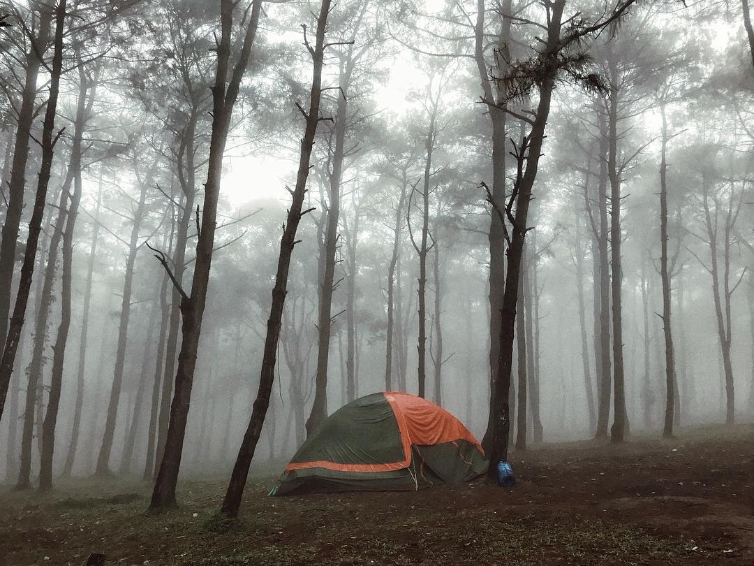 Cam trai gan Ha Noi anh 5