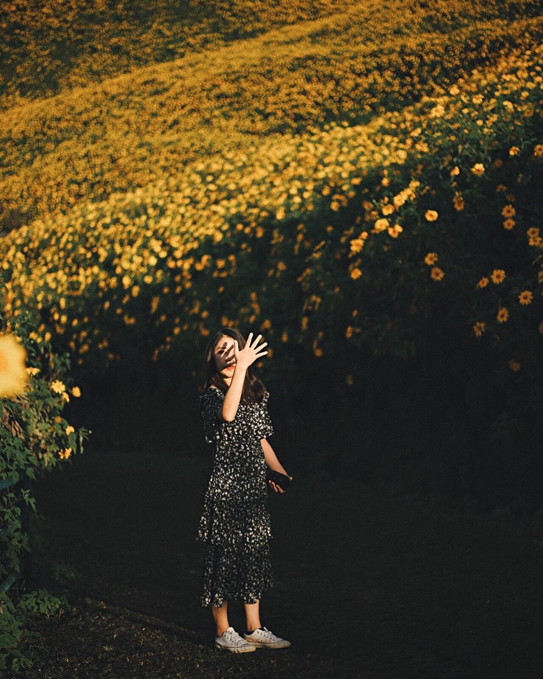 rung hoa da quy anh 2