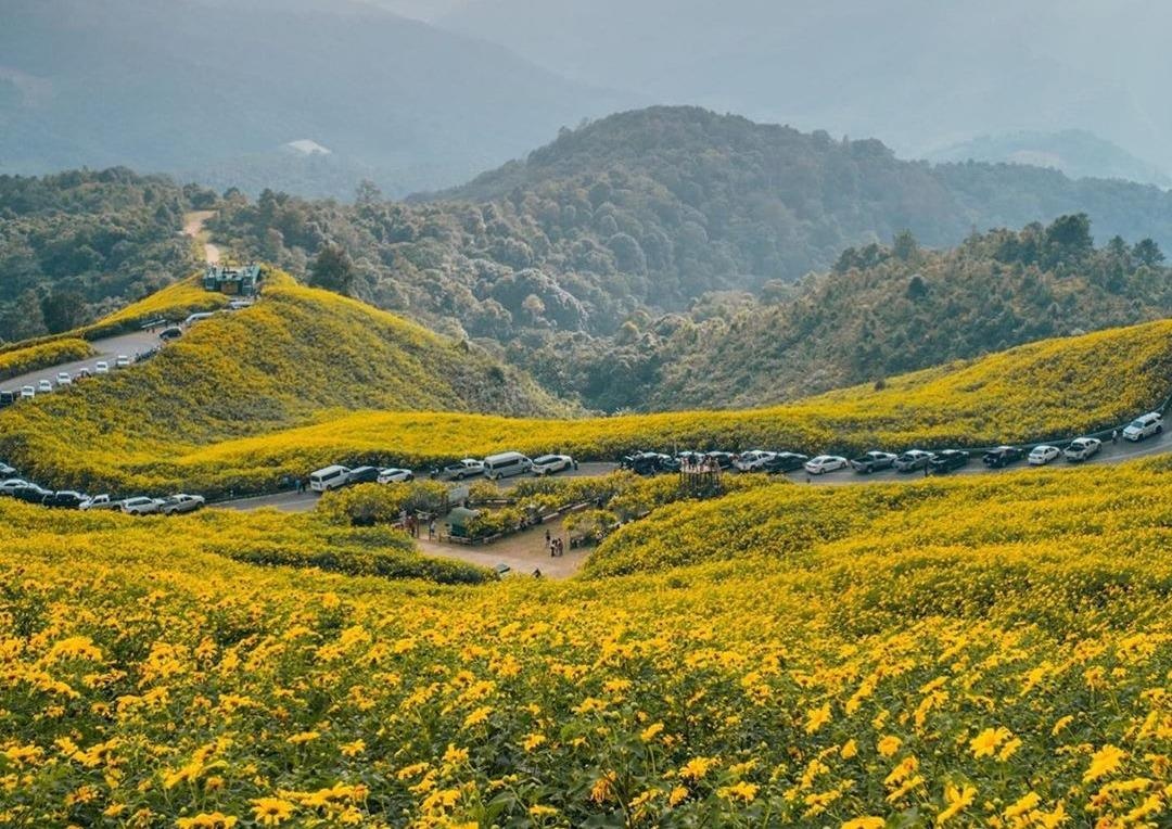 Cung duong hoa da quy vang o Thai Lan hut du khach hinh anh