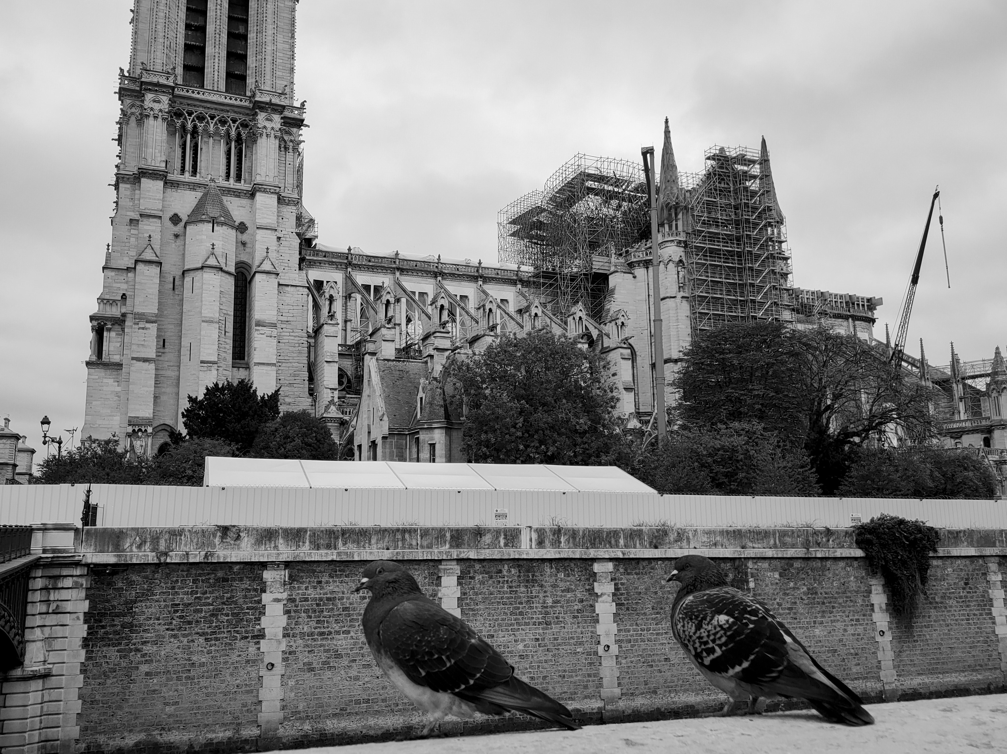 da chieu sang tao anh 2