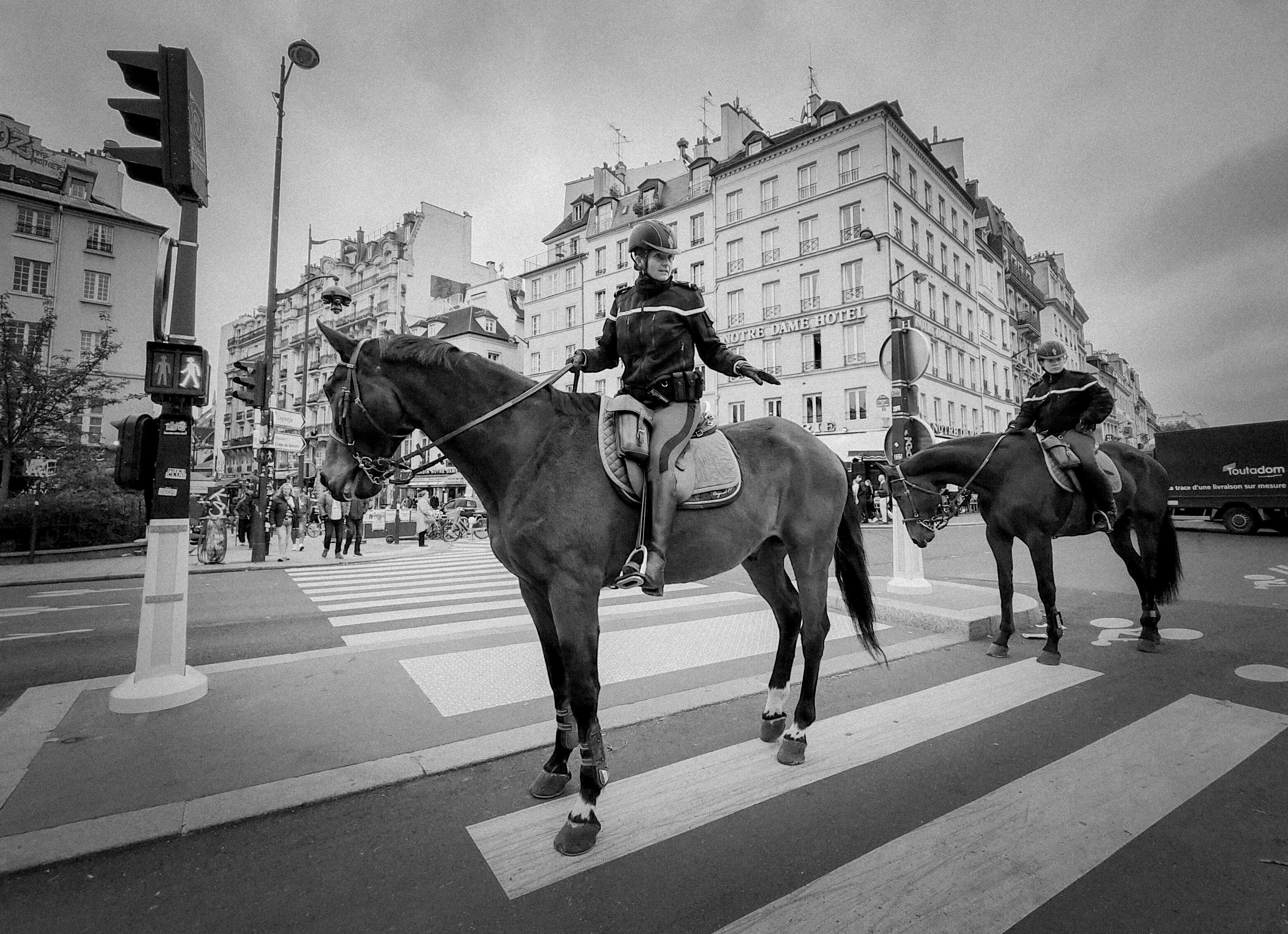 da chieu sang tao anh 20